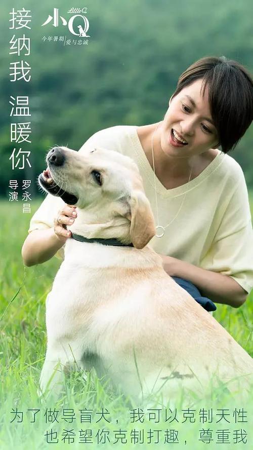 办理假莫比尔大学文凭毕业证